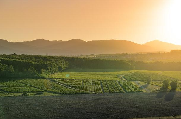 應(yīng)該如何扎實(shí)的自學(xué)攝影測量學(xué)？